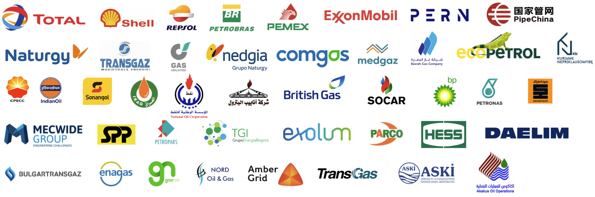 Propipe Holding Group, trust the best pipeline company